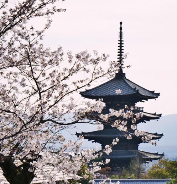 203新築セール黒門市場1分!道頓堀まで徒歩8分!心斎橋まで徒歩9分!